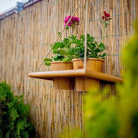 Spot Tente de luxe Vama Veche
