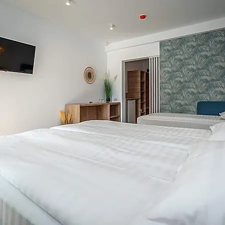 Spot Luxury tent 5*