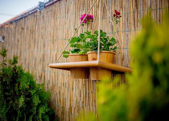 Spot Luksusowy namiot Vama Veche